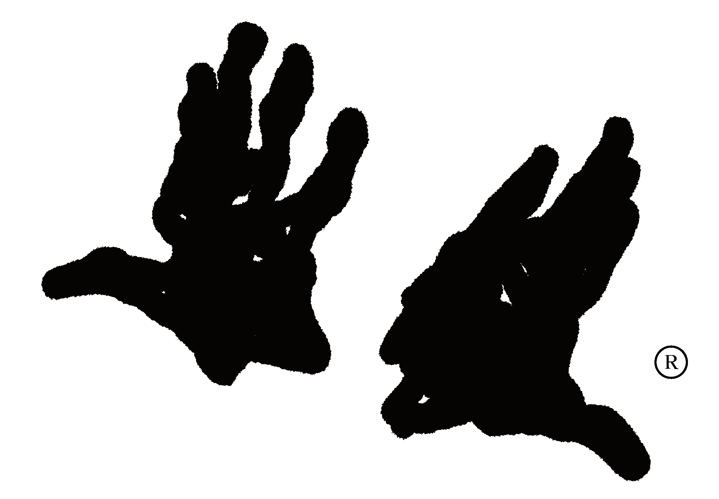 Bamboleo's logo